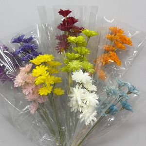 Bouquet di Cereus Notturno Essiccato e Conservato Fatto a Mano, 10 Pezzi/Bundle, per Esposizione in Casa e Vetrine - Product Image 2