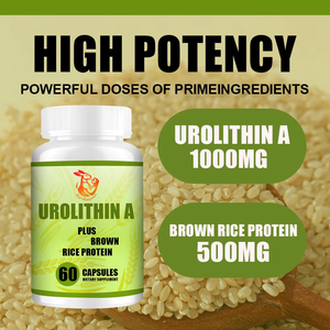 Capsules d'Urolithine A OEM ODM avec poudre de protéines de riz brun, compléments alimentaires à base de plantes pour la santé et le bien-être - Product Image 6