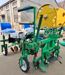 Ferme 35-50HP tracteur monté 2 rangées légume <span class=keywords><strong>oignon</strong></span> aubergine poivre tomate <span class=keywords><strong>semis</strong></span> tiré chou transplanteur planteur machine - Product Image 2
