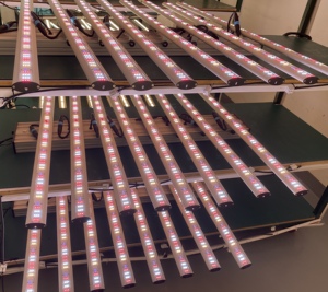 De cultivo hidropónico verduras y Bloom 340W 640W 850W Panel de 1000 vatios Hps Led crece la luz - Product Image 5