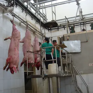 Easy Operation 200 Heads Day Pig Slaughtering Equipment For Pig Slaughter Line