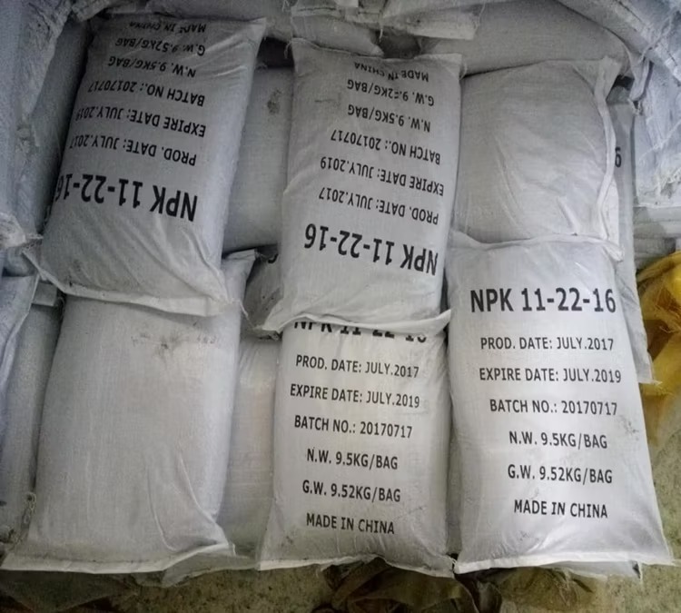 Compound Fertilizer NPK 11 22 16