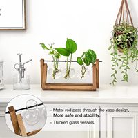 Station de propagation de vase en verre d'ampoule de planteur d'air de bureau pour les plantes aquatiques d'intérieur de maison et de jardin hydroponiques