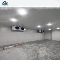 Chambre froide de plain-pied pour ferme, congélateur rapide, conteneur pour tomates, pommes de terre, fruits et légumes, écologique, automatique, télécommandé, -10~-25°C