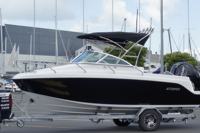 Cabine de bateau de pêche de luxe de yacht de sport à grande vitesse en fibre de verre avec échelle d'eau de pare-brise de moteur hors-bord pour le divertissement