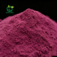 Cranberry-extractpoeder 25% Proanthocyanidinen PAC Natuurlijk Cranberry-fruitextract
