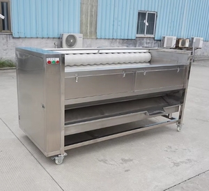 Industrial 220V Yam Zanahoria Jengibre Patata Er Peeler Wash Clean Machine para pelar cebollas Aplicación de frutas Core Motor Componente - Product Image 4