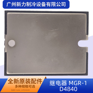 รีเลย์ MGR Mgr-1 D4840 24-480Vac แบบปิดผนึกขนาดเล็ก สำหรับเครื่องปรับอากาศแบบรวมศูนย์ - Product Image 4