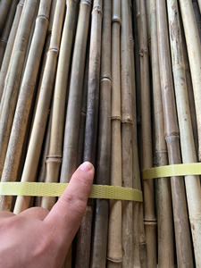 Piquets en bambou robustes pour l'agriculture, bâtons de soutien en bambou naturel pour pépinières et fermes - Product Image 6