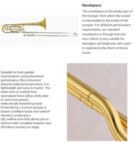 Fine Brass Bb Tenor Trombone Professional Playing Musical Instrument OEM ODM Customized