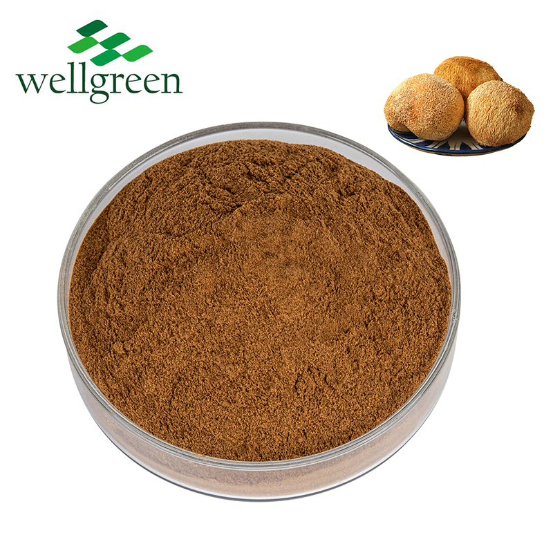 High Quality Bulk Yucca Extract Saponin