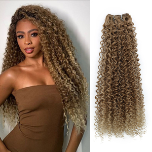 Gladys Wholesale, lot de cheveux bouclés crépus de 22 pouces, longs, ondulés, texture moelleuse, couleur blonde ombrée, extensions de cheveux synthétiques - Product Image 1