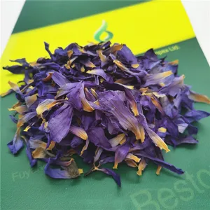 Teeklasse Ägyptischer blauer Lotus massenhaft getrocknete blaue Lotusblumenblätter