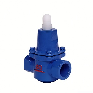 Válvula Reductora <span class=keywords><strong>de</strong></span> Presión <span class=keywords><strong>de</strong></span> <span class=keywords><strong>Agua</strong></span> Roscada, <span class=keywords><strong>Regulador</strong></span> <span class=keywords><strong>de</strong></span> Presión <span class=keywords><strong>de</strong></span> Hierro Fundido para Tuberías <span class=keywords><strong>de</strong></span> <span class=keywords><strong>Agua</strong></span> Domésticas e Industriales - Product Image 3