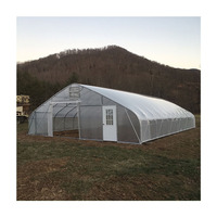 Serre industrielle pour tomates Conception de ferme Matériau PE à travée unique Serre économique à faible coût