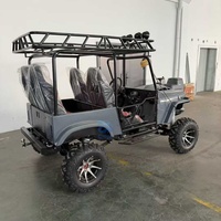 Jeep tout-terrain haute performance, voitures confortables personnalisées, Jeep de plage, buggy, livraison directe d'usine, livraison rapide, prix fiable