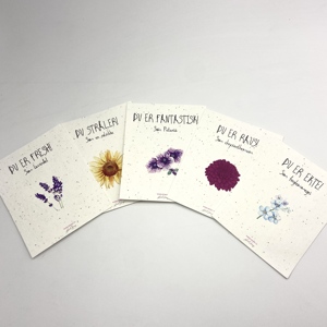 Tarjeta de Semillas Biodegradable de Papel Especial con Semillas Recicladas de Girasol y Menta para <span class=keywords><strong>Cultivar</strong></span>, Ideal para el Día de Acción de Gracias - Product Image 6
