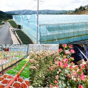 Tùy chỉnh sáng tạo Acrylic Hộp Quà tặng hộp đồ trang sức bảo quản Rose Flower thiết kế món quà sinh nhật cũng như nhiều kỳ nghỉ Quà Tặng - Product Image 6