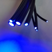 Venta caliente 3mm/5mm Piscina Cable de luz de fibra óptica de plástico