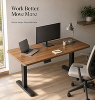 Base de bureau électrique réglable en hauteur D06 à moteur unique et double poutre, capacité 80 kg
