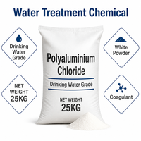 Chlorure de polyaluminium de qualité potable, poudre blanche PAC 30% Coagulant d'alumine