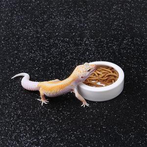 Abri/Caverne en céramique pour reptiles, bol rond durable pour nourriture et eau, empêche <span class=keywords><strong>les</strong></span> vers de farine de s'échapper, toutes saisons - Product Image 2