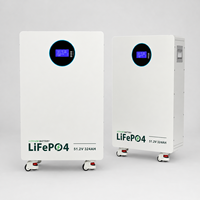 Batterie LiFePO4 empilable à longue durée de vie 16 kWh 51,2 V 314 Ah avec charge/décharge 200 A pour l'alimentation de secours de toute la maison