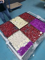 0.6 Olie Gratis Sen Ova 10Kg 12Kg 8 Plank Mini Kleine Huis Lyofilisator Fruit Food Freeze Droger Machine Voor Snoep