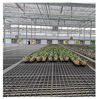 Table de culture à prix d'usine, grande taille, équipement agricole hydroponique pour serre, lit de culture mobile à roulettes pour fleurs et légumes