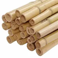 natural bambou pole cane strips slats stakes tonkin bamboo raw materials dried bamboo sticks