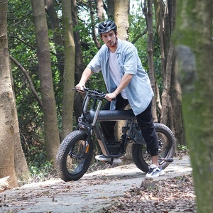 Direktverkauf ab Werk Rutschfestes und Verschleißfestes E-Bike Elektrisches Fahrrad Preis Schnelles Elektrofahrrad - Product Image 2