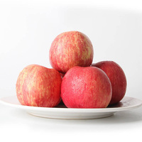 Pommes Fuji Fraîches OEM ODM pour Achat en Gros, Étiquette Personnalisée, Provenant de Notre Propre Plantation, Récolte Actuelle, Cultivateur du Shaanxi, Carton de 10kg