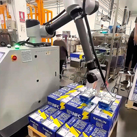 Système de palettisation robotique collaboratif compact, facile à installer, pour l'empilage de boîtes en usine