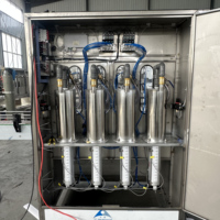 Fabricants de machines de remplissage d'huile de palme, de détergent à lessive et de désinfectant pour les mains.