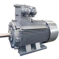 Moteur asynchrone antidéflagrant série YBK3 132,0 kW 176,9 CV 50 Hz pour mine souterraine de charbon, 4 pôles, 3 phases, efficacité IE3, IP55