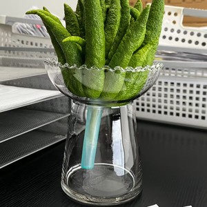 แจกันแก้วขัดเงาทำด้วยมือล้วนสำหรับ<span class=keywords><strong>ปลูก</strong></span>มะกรูดน้ำมะกรูด E18<span class=keywords><strong>ปลูก</strong></span>พืชไร้ดิน - Product Image 3