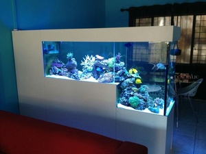 Bể cá bể cá lớn Bể Cá Lớn Bể Cá Lớn bể cá 300 Gallon bể cá lớn - Product Image 6