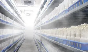 Pabrik Tiongkok menjaga waktu 800-1000h 250W mesin desinfeksi portabel sistem kabut sayuran