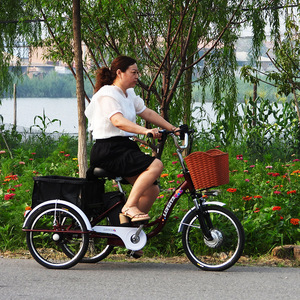 <span class=keywords><strong>Tricycle</strong></span> électrique 20 pouces pour adultes et seniors, <span class=keywords><strong>tricycle</strong></span> à <span class=keywords><strong>assistance</strong></span> au pédalage avec moteur sans balais, design de transport et de chargement domestique - Product Image 6
