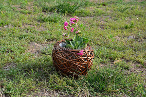 Rattan 5cm appeso pentola recinzione fotografia fiore Eritrea porta cesti realizzati bianco all'ingrosso tessuto a mano cesti - Product Image 3