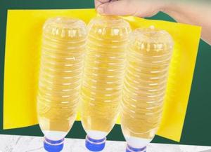 Trappola per Topi Elettrica Gialla Usa e Getta con Colla Solida per Uso <span class=keywords><strong>Interno</strong></span>/Esterno Protegge le <span class=keywords><strong>Piante</strong></span> Non Tossica - Product Image 6