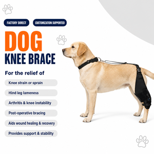 Attelle de genou pour chien robuste et respirante avec charnière élastique – Protection post-opératoire pour la patte arrière et le soutien articulaire des animaux de compagnie - Product Image 1
