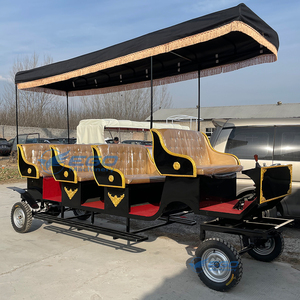 Chariot de tourisme à chevaux en promotion – Plusieurs styles, chariot royal de tourisme de haute qualité - Product Image 1