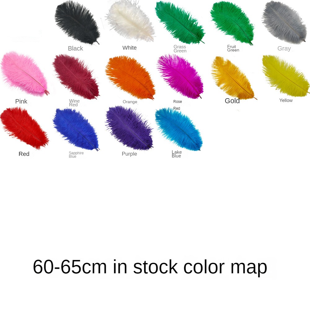 Tige fine de 60 à 65 cm