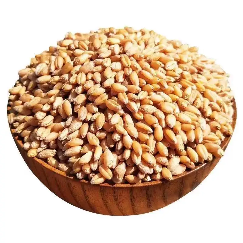 Высококачественное мягкое зерно пшеницы проверенным экспортером