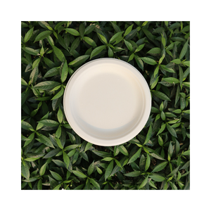 Meilleure qualité STAVIAN 10 pouces assiettes en papier jetables de bagasse de canne à sucre 100% biodégradables compostables écologiques personnalisables - Product Image 1