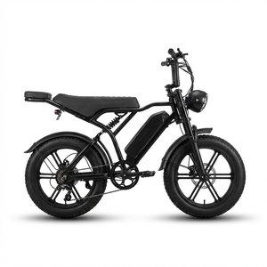 Vélo électrique à pneus larges de 20 pouces prêt à rouler avec moteur homologué 250W, Fatbike de 20 pouces pour adultes et adolescents, livraison rapide UE, vélos électriques - Product Image 1
