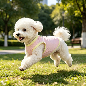 Veste d'été respirante en nylon pour Bichon Frise, vêtements pour animaux de compagnie sans manches, bleu clair et rose, pour usage extérieur - Product Image 1