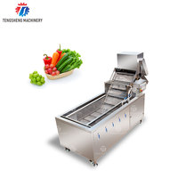 Automatische Gemberaardappel Fruitgroentewasmachine Data Reinigingsmachine Aardappelen Plantaardige Vortex Wasmachines