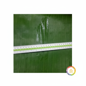 ใบตองสีเขียวแช่แข็งบรรจุภัณฑ์คุณภาพพรีเมียมสำหรับตลาดโลกข้อเสนอที่ดีที่สุด - Product Image 1